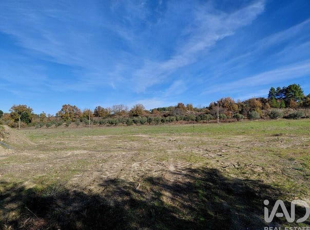 Caria, Castelo Branco 6250