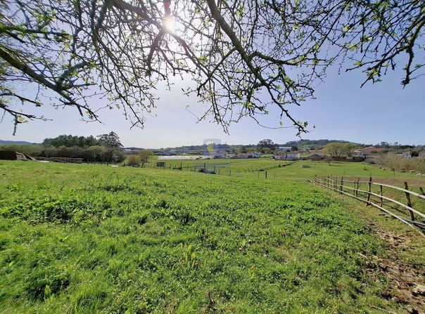 Cela, Leiria District