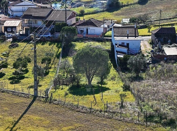 Santarém, Santarém District 2380