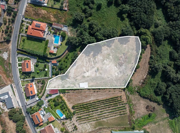 Real, Braga