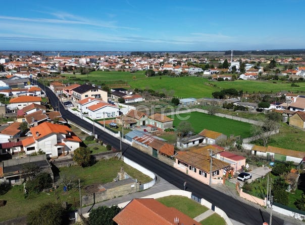 Estarreja, Aveiro District