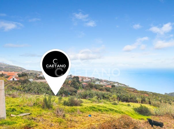 Estreito Da Calheta, Madeira 9370