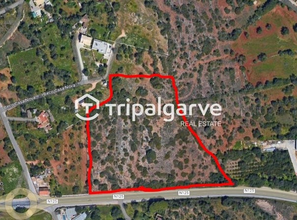 Boliqueime, Algarve 8100