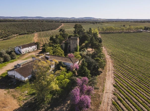 Sousel Municipality, Portalegre 7470