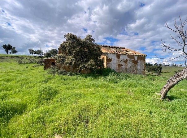 Aldeia Nova De São Bento, Beja 7830