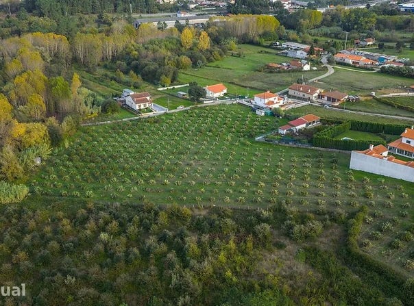 Sangalhos, Aveiro District