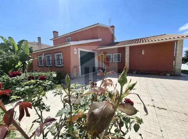 Caldas da Rainha, Leiria District