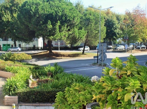 Braga, Braga