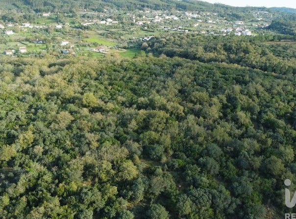Santarém, Santarém District