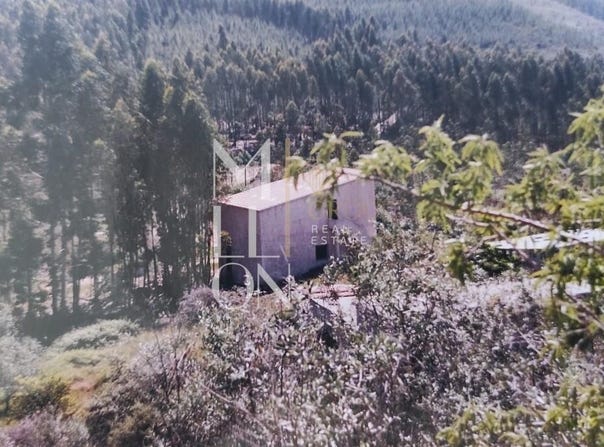 Amendoa, Santarém District