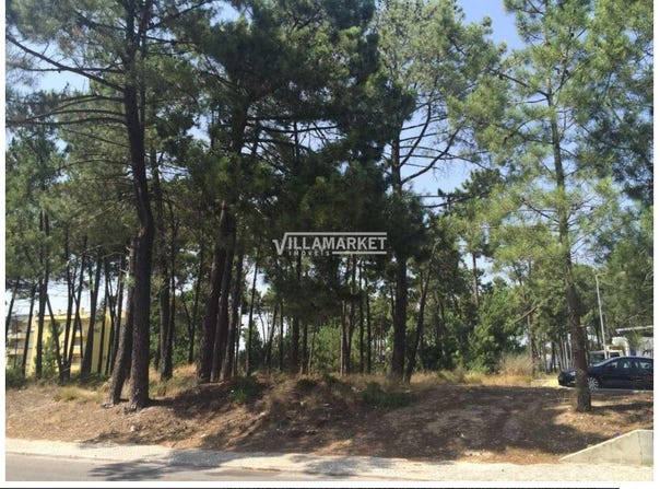 Azeitão (são Lourenço e São Simão), Setubal