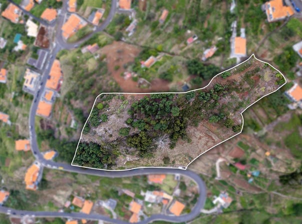 Gaula, Madeira 9100