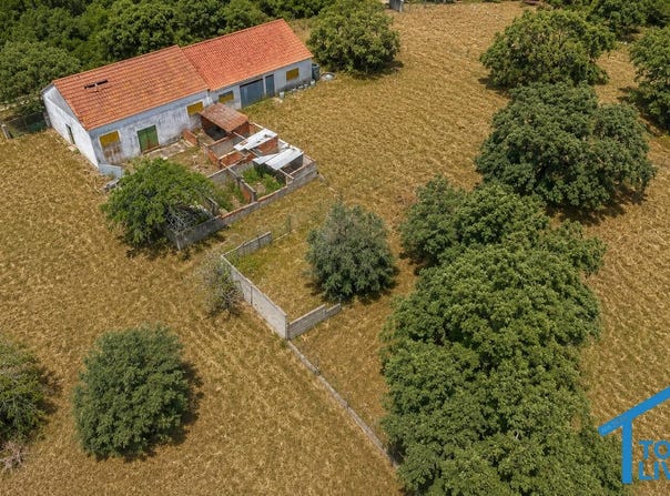 Tomar, Santarém District 2305-176