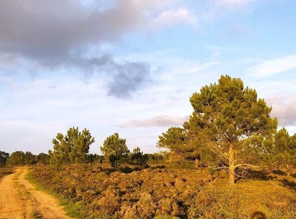 Faro, Algarve