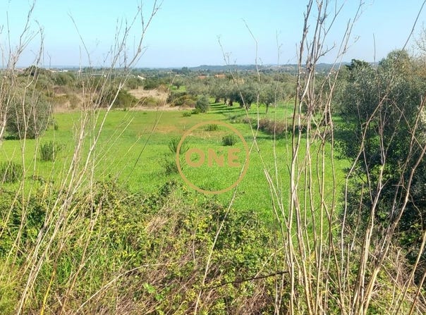 Casalinho, Santarém District
