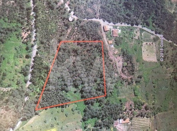 Sertã, Castelo Branco District