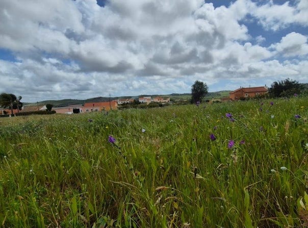 Silves, Algarve 8300