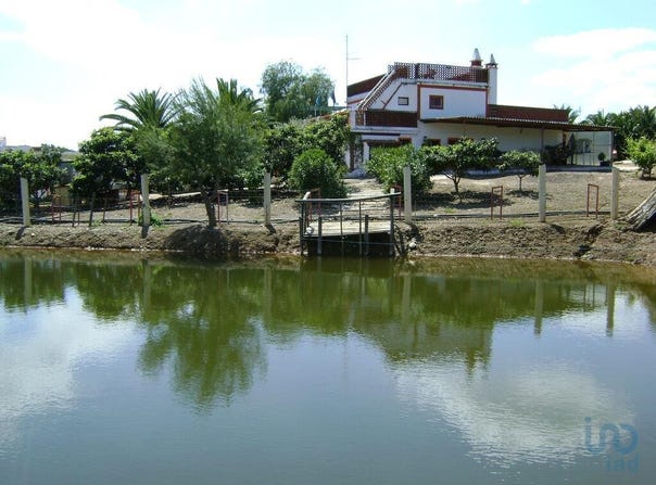 Cabeça Gorda, Beja 7800