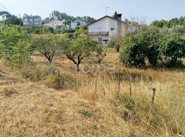Mangualde, Viseu District