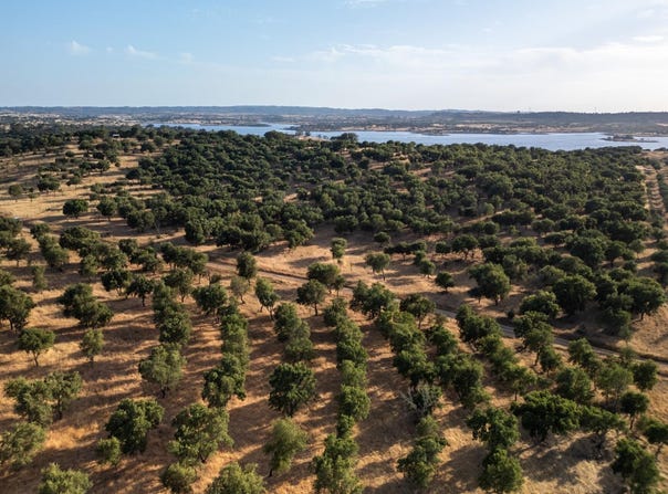 OURIQUE, Beja District