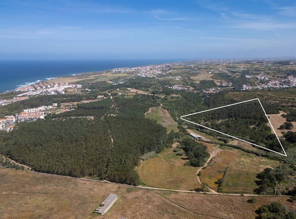 Ericeira, Lisbon 2655