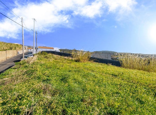 Canhas, Madeira 9360