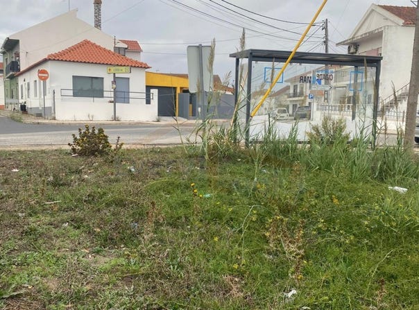 Caldas da Rainha, Leiria District