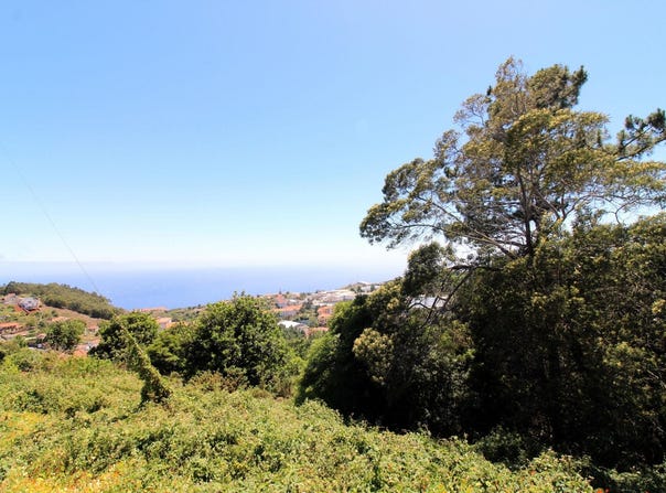 Caniço, Madeira 9125