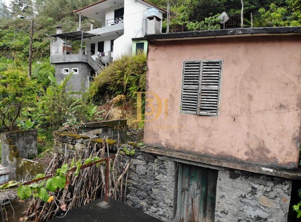 São Vicente (Madeira), Madeira