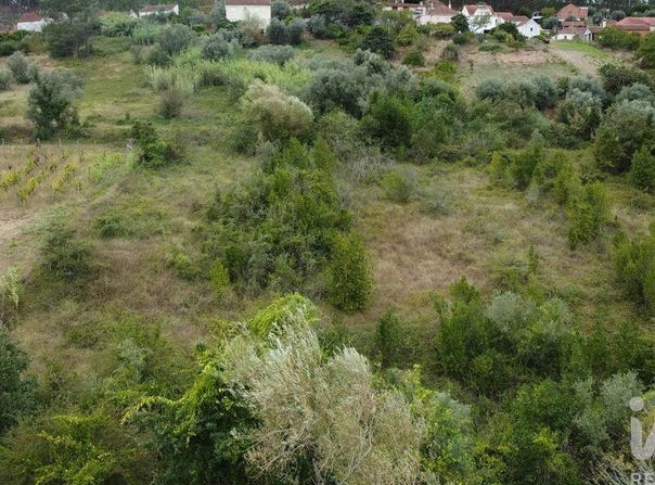 Leiria, Leiria District