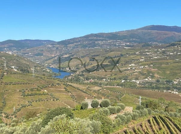 Cambres, Viseu 5100