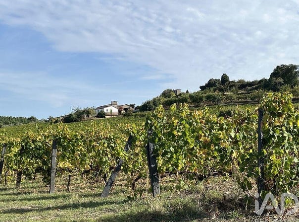 Alijó, Vila Real 5070-011