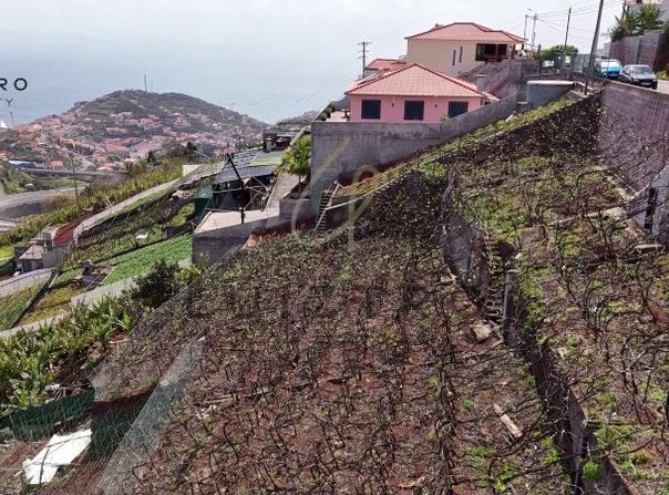Estreito Câmara de Lobos, Madeira