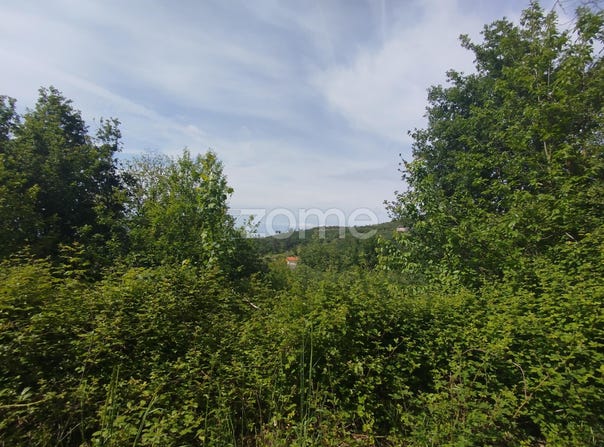 Seia, Guarda District