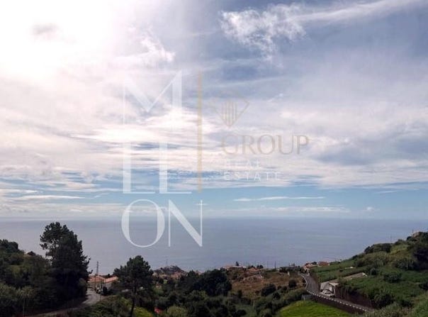 CANHAS, Madeira