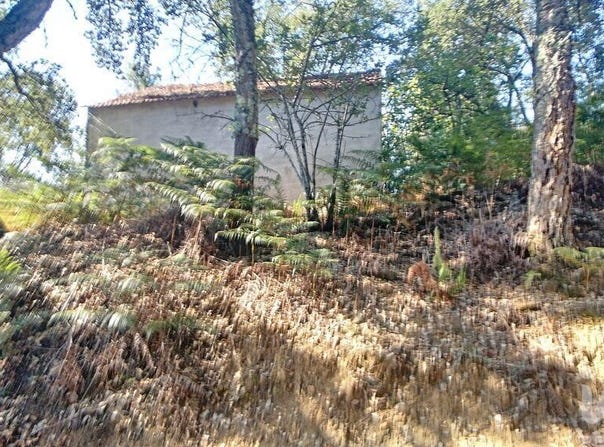 Pedrógão Grande, Leiria 3270