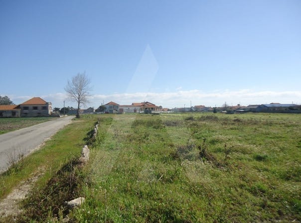 Aradas, Aveiro District