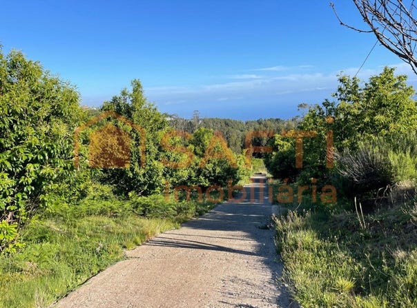 Arco Da Calheta, Madeira 9370