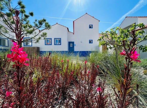 Comporta, Setúbal 7580