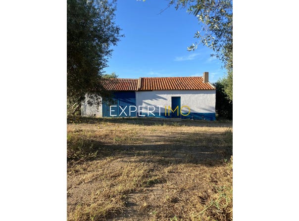 M517, Beja, Beja District 7830