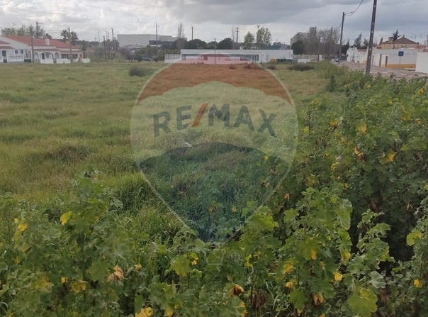Portalegre, Portalegre District 7350