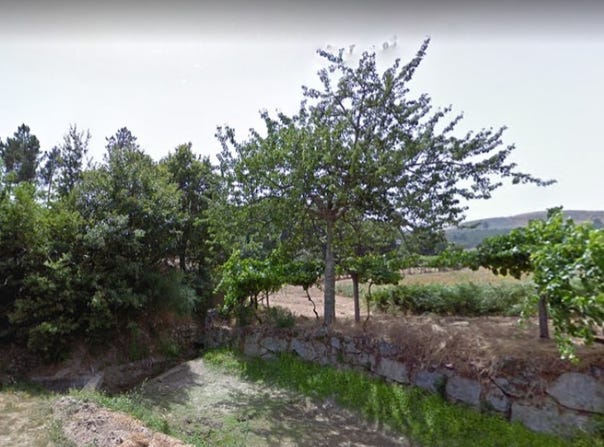 Gesta, Porto District