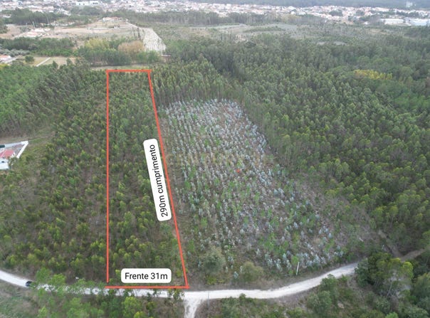 Chousos, Maceira, Leiria District 2405-029