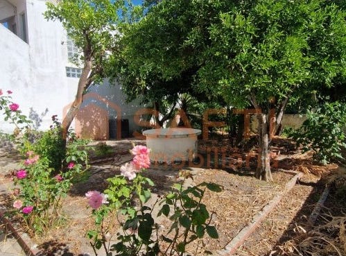 Pinhal Novo, Setubal
