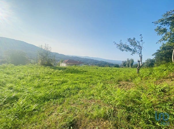 Cornes, Viana Do Castelo 4920