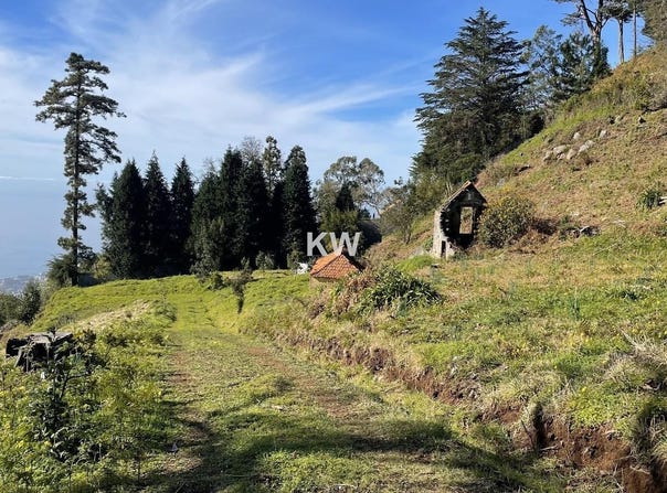 Monte, Madeira 9050