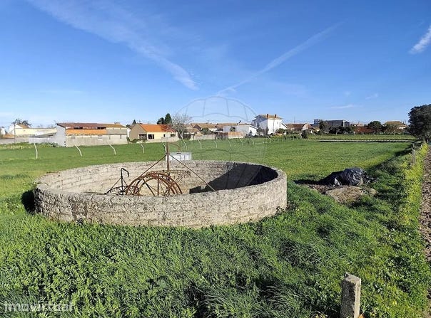 Esgueira, Aveiro District