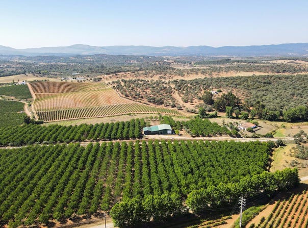 Estremoz, Évora District