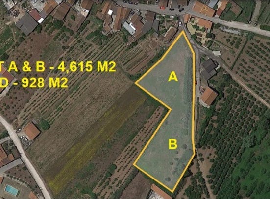 Roliça, Leiria District