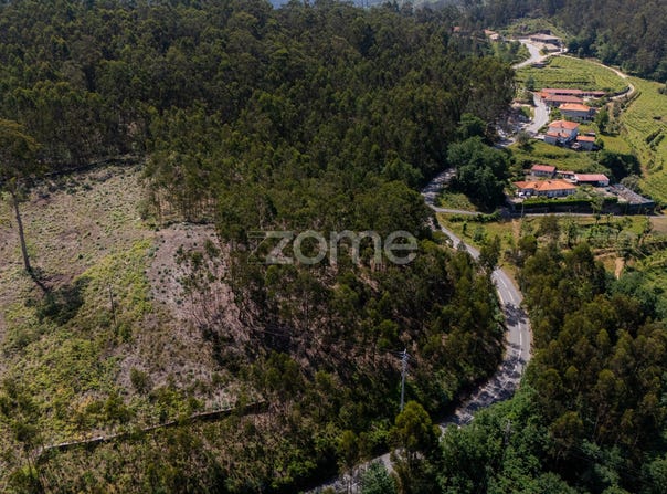 Fafe, Braga